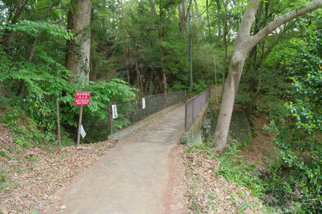 鬱蒼とした橋、再び深沢川を渡ります。