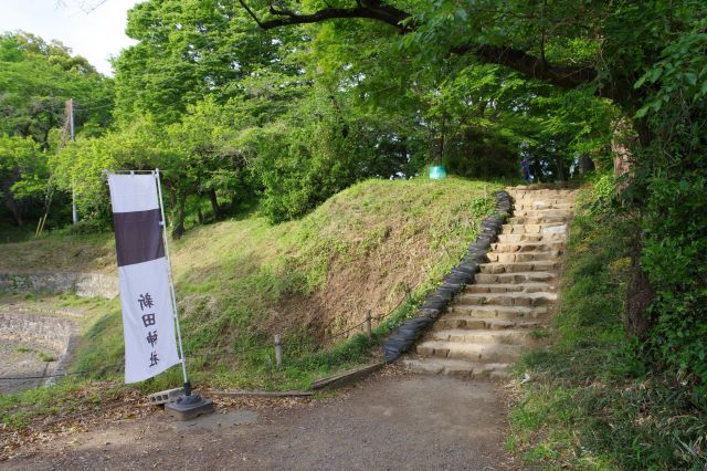 新田神社がある本丸跡へさらに登ります。