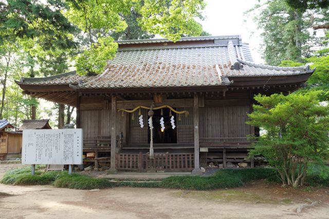 新田義貞を祀る神社です。鳥の声や風のそよく音ぐらいでひそやかで落ち着きます。