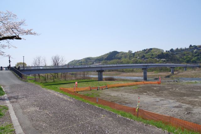 少し進むと左側に多摩川、羽村堰下橋。