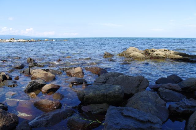 岩が点在する海岸。