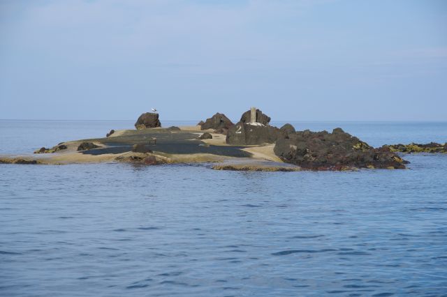 平たい島には鳥の姿が見られました。