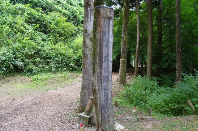 山道を登った駐車場から本丸へ歩きます。自然の空気で静かです。