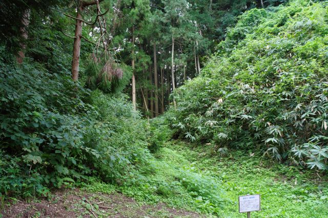 左側は本丸の横の谷部分。