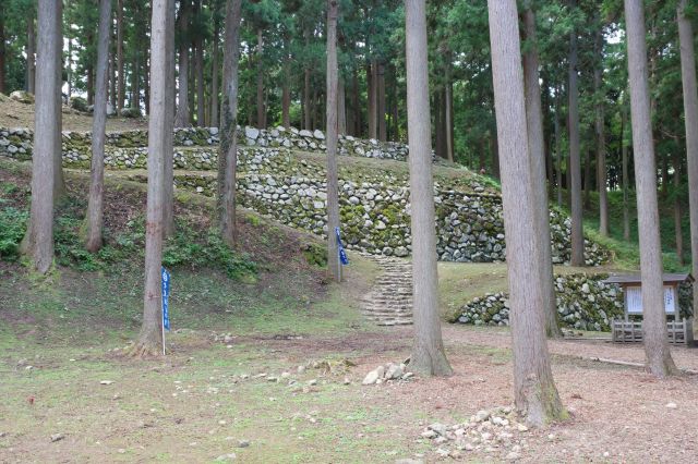 左側には桜馬場の石垣があります。