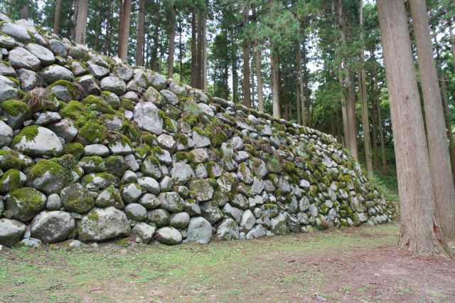 石段を少し登った石垣の右側。