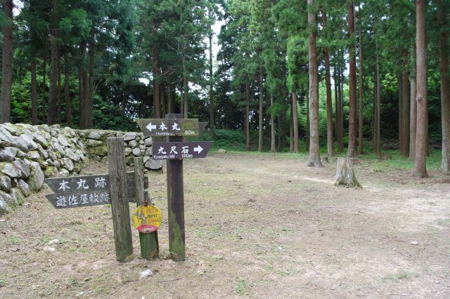 桜馬場へ。最初に石垣を登って来た分かれ道。今度は西側へ進みます。