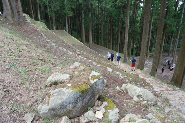 再び桜馬場の石垣の斜面を下ります。上から見る段々の石垣。