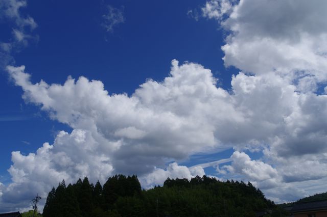 もくもくした雲が印象的です。