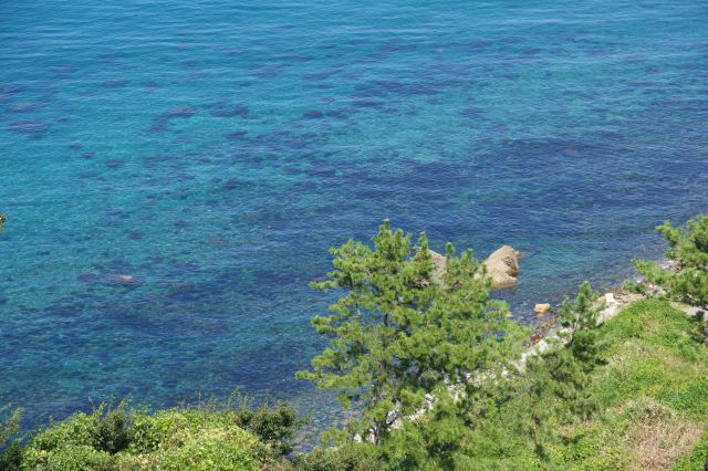 海もきれいで浅瀬は透明です。