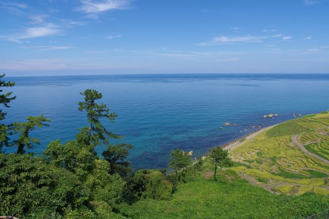 遠くまで続くきれいな海、波の音も聞こえます。