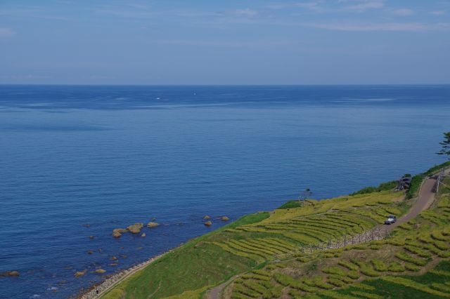 青い海と緑の千枚田。