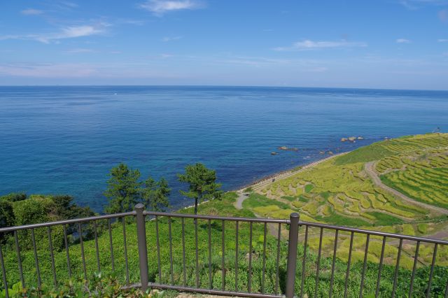 海側、広がる海と千枚田。