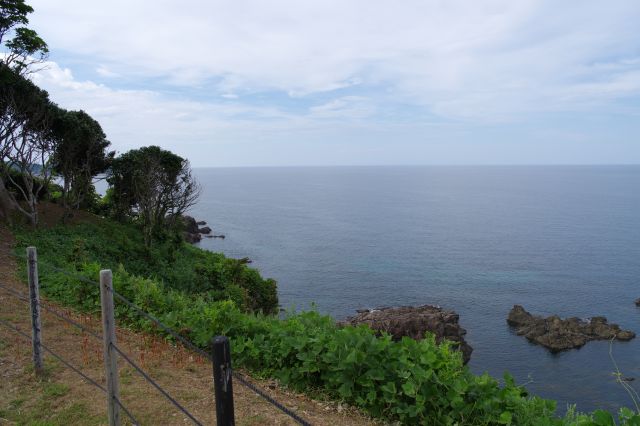 広い海の風景。