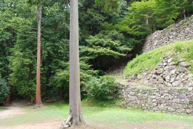 上段に向かう階段と、左は森林（帰路の出口）。