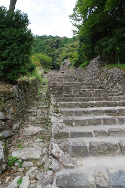 大手道の階段を登って行きます。