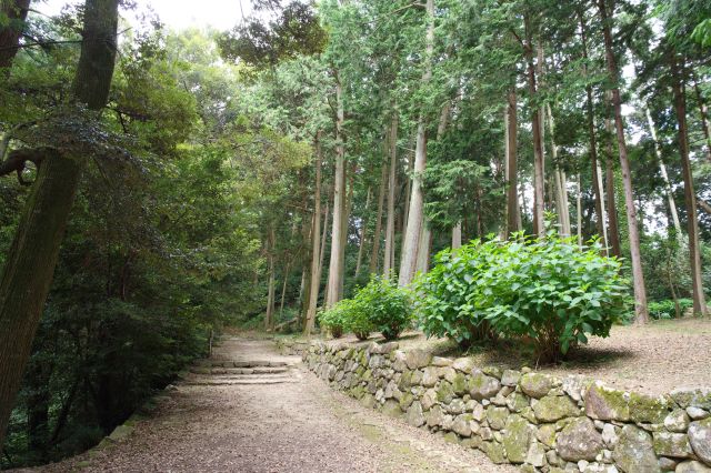 左に進むと道が分岐します。