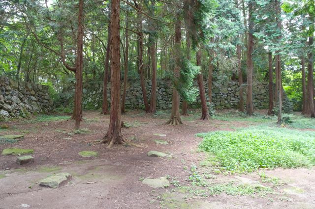 広場には高木が点在しています。