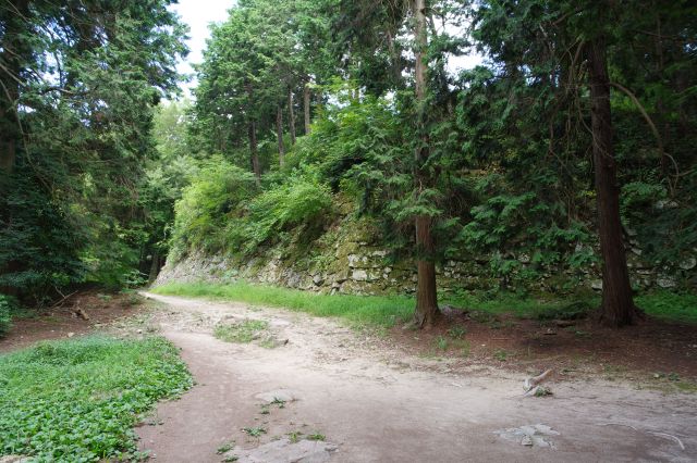 来た道を振り返る。緑豊かな山中にある石垣。