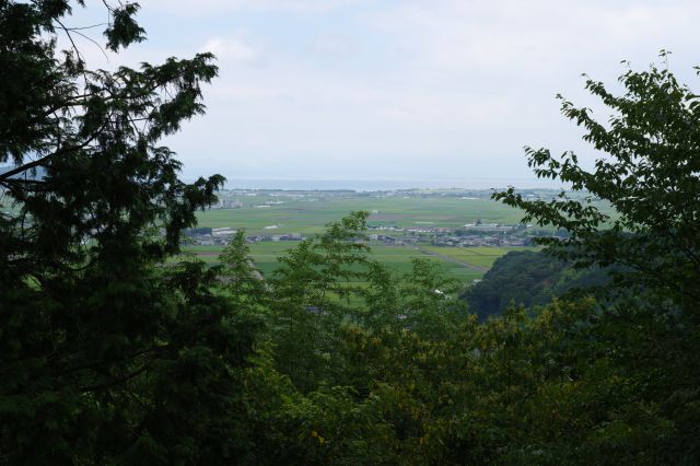 木々の切れ間に平野と琵琶湖が見えます。低くなった石垣の上なので1階より少し低い視点で、信長も見たはずの6階からの眺めは絶景だったでしょう。