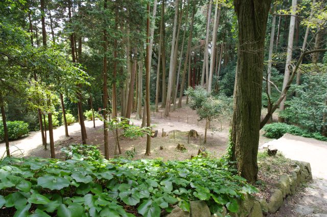 天主から降りて分岐道へ戻りました。