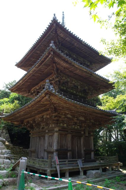 三重塔を同じ地面の高さから見上げます。