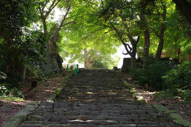 階段の上は石垣が構えます。