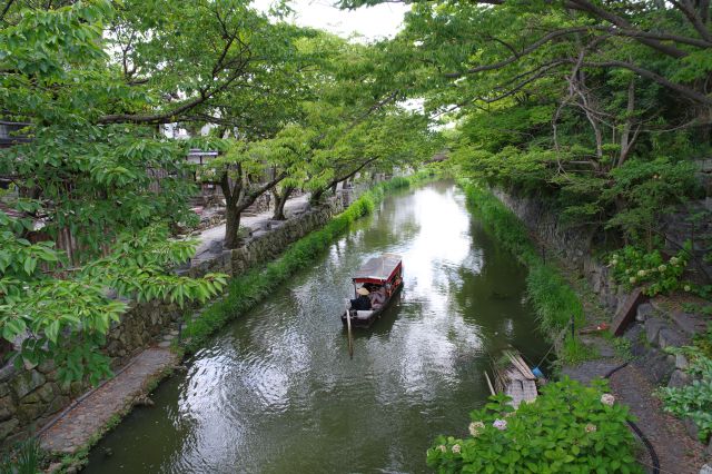 白雲橋から西側、両岸から緑に囲われた美しい堀が続きます。