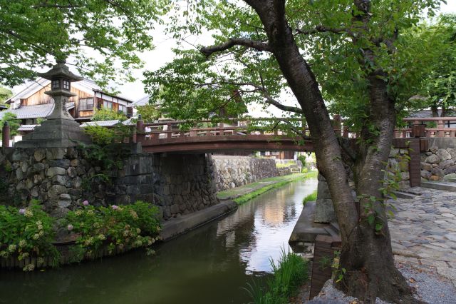 木のアーチ越しに白雲橋を望む。