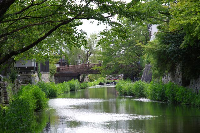 奥には隣の明治橋。