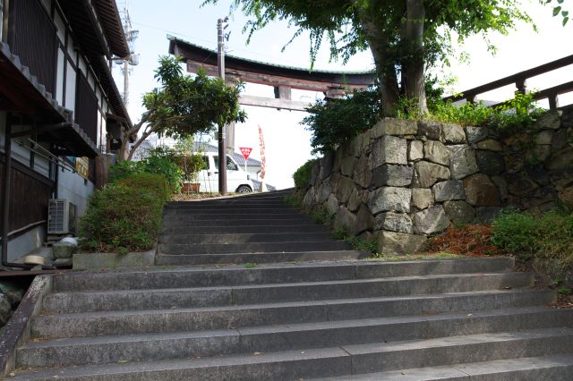 階段を登って鳥居へ。次は近江八幡の街並みを楽しみます。