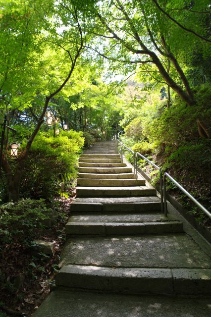 美しい緑のアーチの階段を登ります。