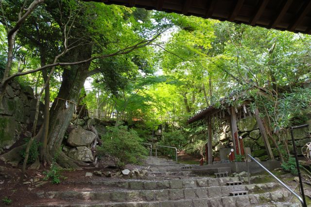 山門の中へ。階段状の桝形のように石垣が囲います。