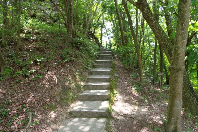 最初は少し登ります。