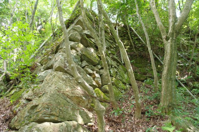 本丸の石垣沿いを進みます。