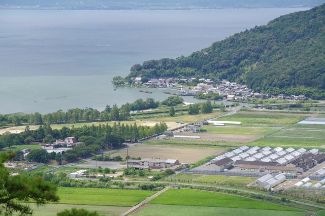 西の湖から続く河口部。