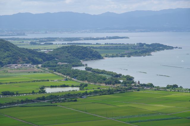 山沿いは緑が多いです。