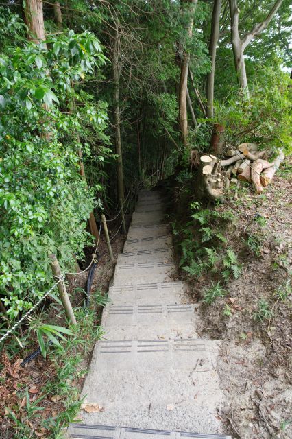 西の丸からさらに奥へ、細い階段道を下ります。