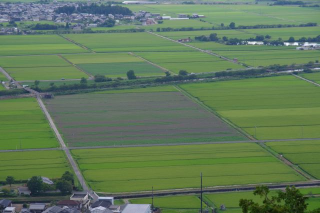 直線的な田園風景が美しい。