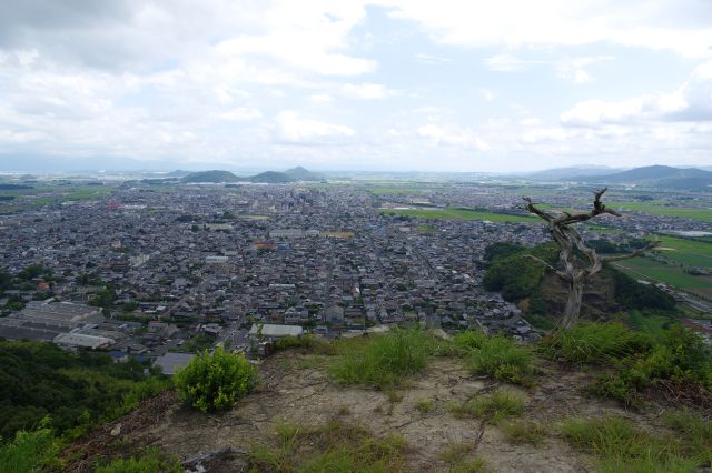 近江八幡の街並みが広がります。