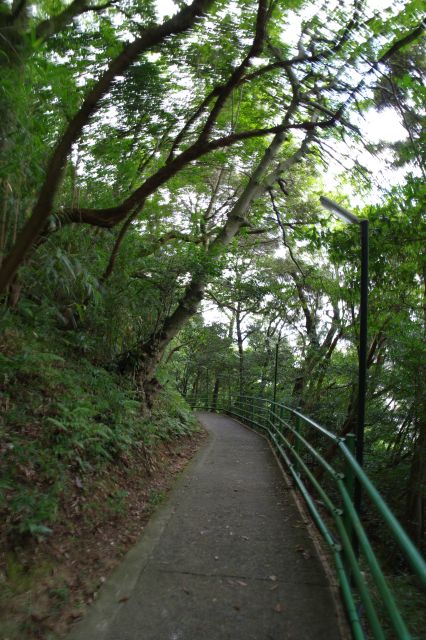 山沿いの緑あふれる小道を歩きます。