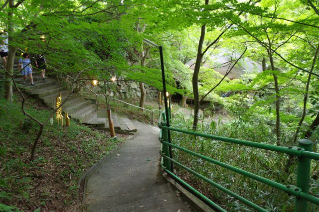 二の丸と本丸の間の道と合流しました。