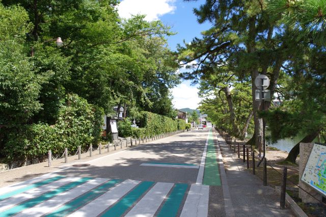 佐和口から駅方面の道。