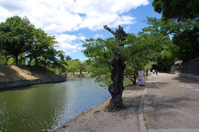 右側は楽々園、玄宮園や駐車場の1つも。