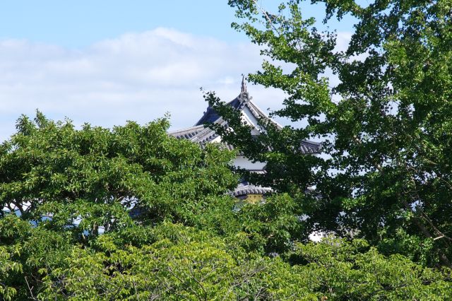 木々には天守が隠れています。