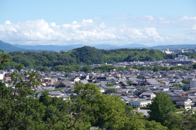 右側に街並みが少し。