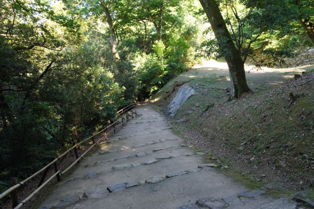 豊かな緑の中の急坂を下ります。