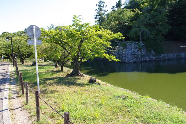 桜場駐車場を経て堀沿いに曲がります。