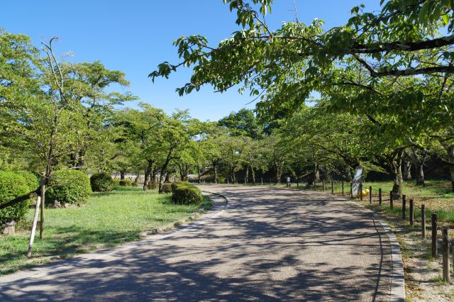 道路沿いを歩きます。