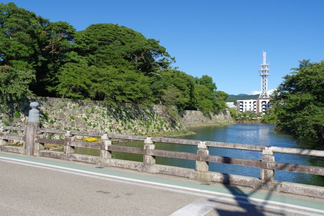 橋の左側。